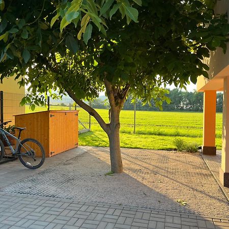 Rekreacni Dum U Jezer, Milovice 6 Villa Екстериор снимка